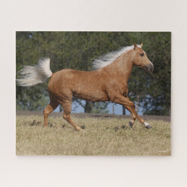 Puzzle Bob Langrish | Palomino Quarter Cheval Courir (Horizontal)