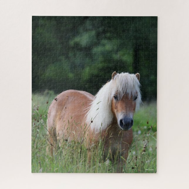 Puzzle Bob Langrish | Palomino Shetland Debout Dans L'Her (Vertical)