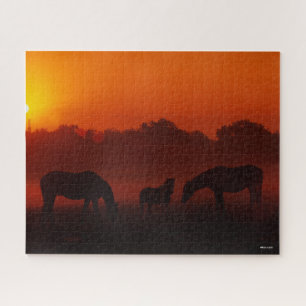 Puzzle Bob Langrish   Pâturage à trois chevaux au couch