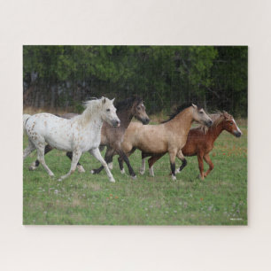 Puzzle Bob Langrish   Quatre Poney Courant Ensemble