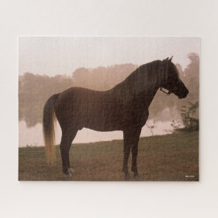 Puzzle Bob Langrish Rocky Mountain Horse debout rétroécla