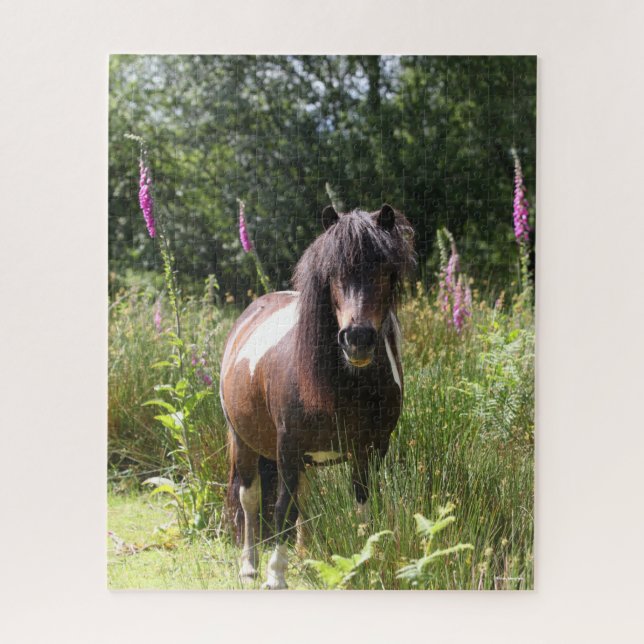 Puzzle Bob Langrish | Shetland Pony Debout De Fleurs (Vertical)