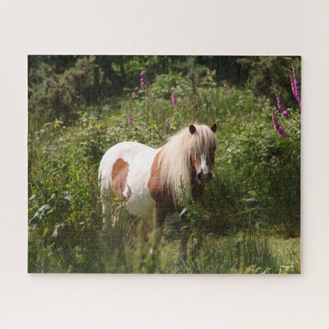 Puzzle Bob Langrish | Shetland Pony Debout En Fleurs (Horizontal)