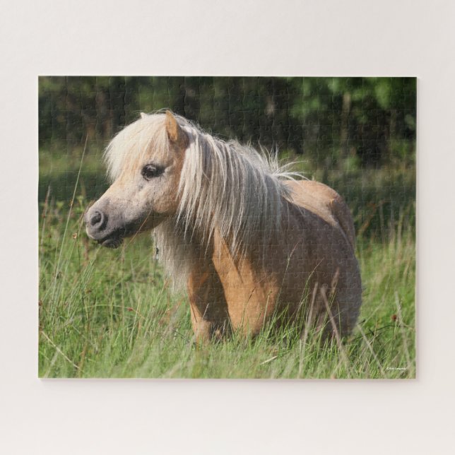 Puzzle Bob Langrish Shetland Pony debout en herbe longue (Horizontal)