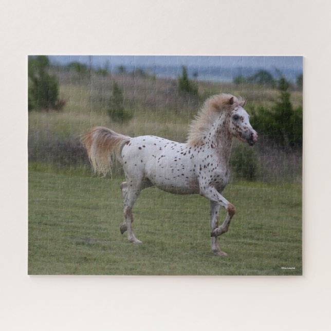 Puzzle Bob Langrish | Spotty Pony Of America (Horizontal)