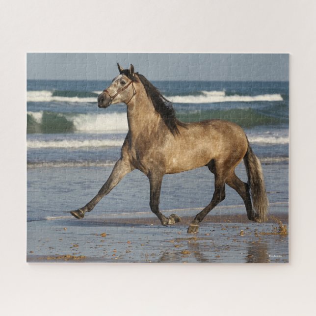 Puzzle Bob Langrish Stallion Andalou Courir Sur La Plage (Horizontal)