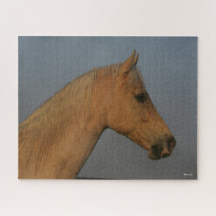 Puzzle Bob Langrish Tennessee Walker Misty Headshot