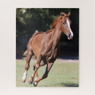Puzzle Bob Langrish Tennessee Walker Testnut Running