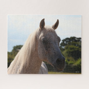 Puzzle Bob Langrish   Tête d'écran gris arabe Stallion ré