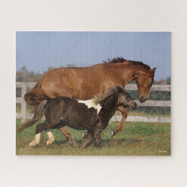 Puzzle Bob Langrish | Thoroughbred et Shetland Pony (Horizontal)