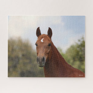 Puzzle Bob Langrish Tirage de châtaignier Oldenburg