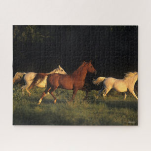 Puzzle Bob Langrish Trois Arabes Courent Dans La Lumière 