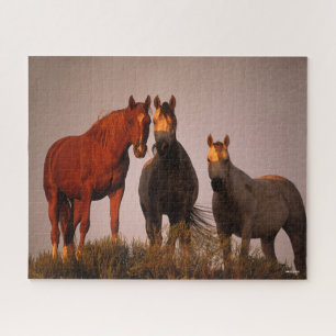 Puzzle Bob Langrish   Trois Arabes debout au coucher du s
