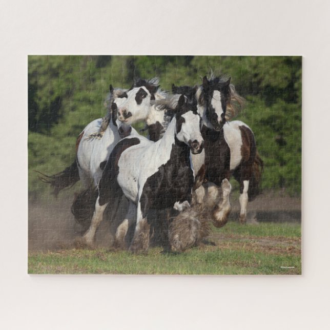 Puzzle Bob Langrish | Troupeau De Chevaux De Vannières Ts (Horizontal)