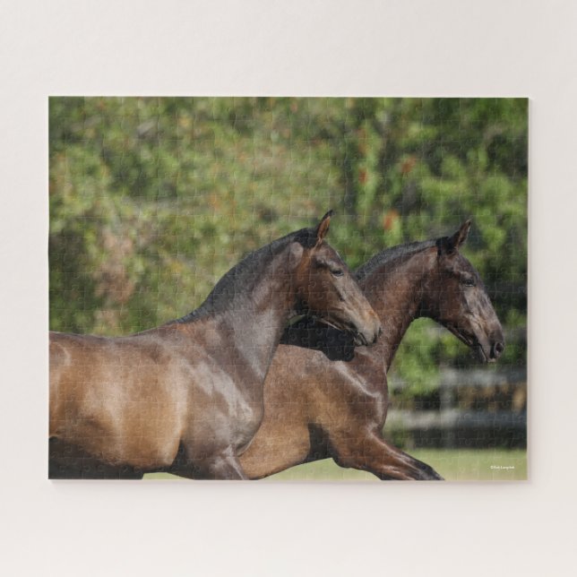 Puzzle Bob Langrish | Two Brown Andalucian Horses Running (Horizontal)