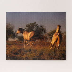 Puzzle Bob Langrish   Two Horses Running In Sunset