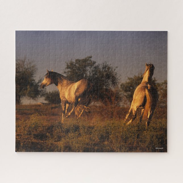 Puzzle Bob Langrish | Two Horses Running In Sunset (Horizontal)