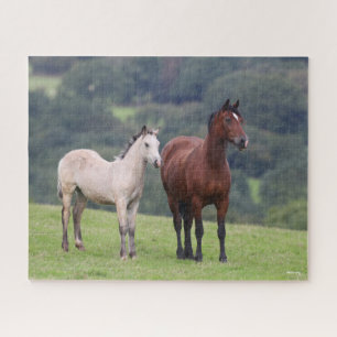 Puzzle Bob Langrish   Welsh Pony Mare and Foie Standing