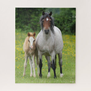 Puzzle Bob Langrish   Welsh Pony Mare and Foie Standing