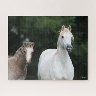 Puzzle Bob Langrish   Welsh Pony Mare et Foie