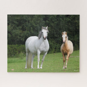 Puzzle Bob Langrish   Welsh Pony Mare et Foie
