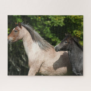 Puzzle Bob Langrish   Welsh Pony Mare et Foie Headshot