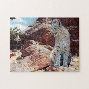 Puzzle Bobcat Repose parmi les rochers dans les montagnes
