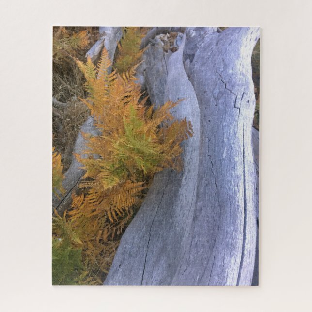 Puzzle Bois d'automne (Vertical)