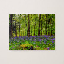 Bois de jacinthe des bois
