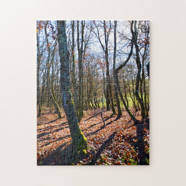 Puzzle Bois d'hiver en France (Vertical)