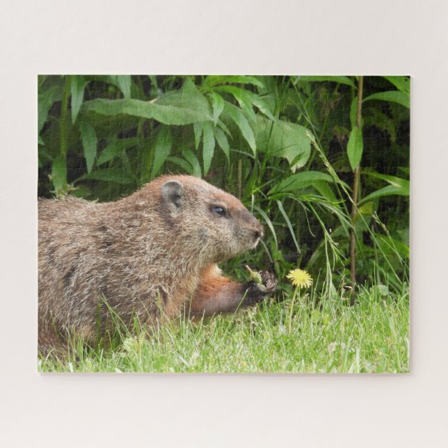 Puzzle Bois (marmotte) avec une fleur (Horizontal)