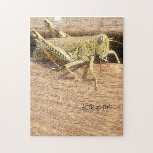 Puzzle Bonjour M. Grasshopper ! (Vertical)