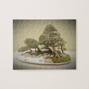 Puzzle Bonsaïs 5