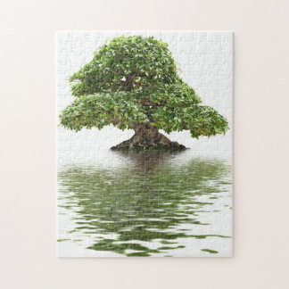 Puzzle Bonsaïs de Ficus