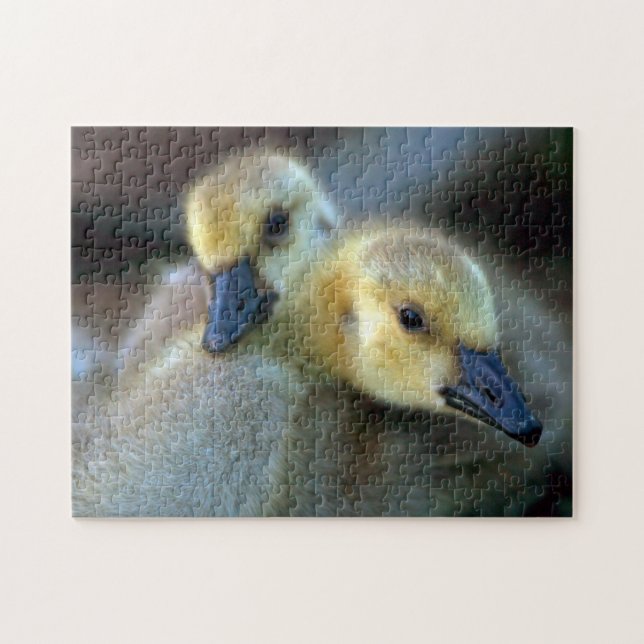 Puzzle Bord de lac (Horizontal)