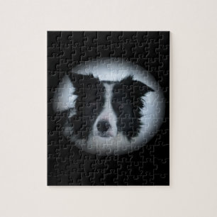 Puzzle Border collie