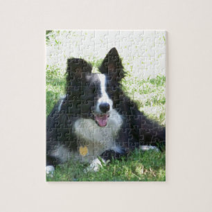 Puzzle Border collie