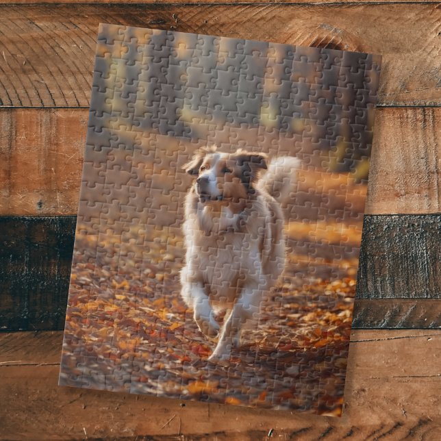 Puzzle Border Collie dans la forêt (Créateur téléchargé)