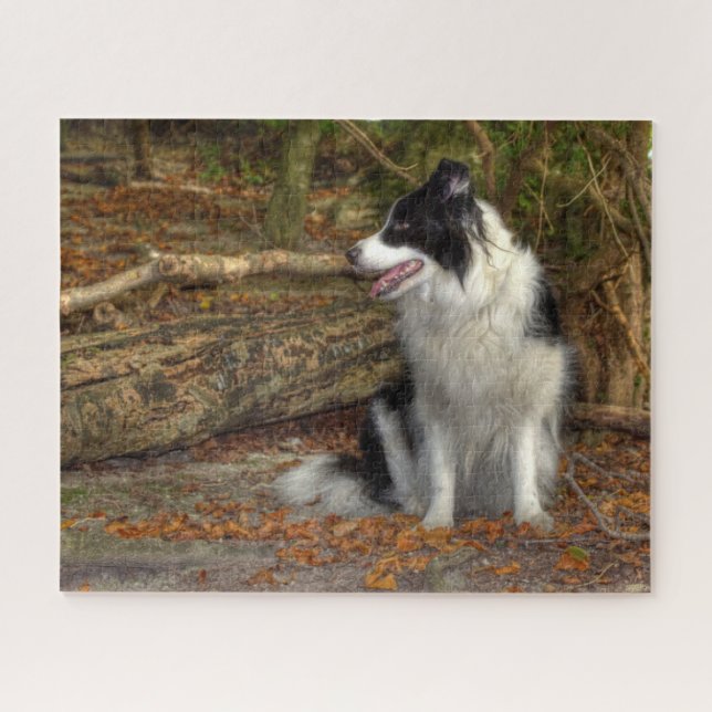 Puzzle Border Collie dans les Bois (Horizontal)