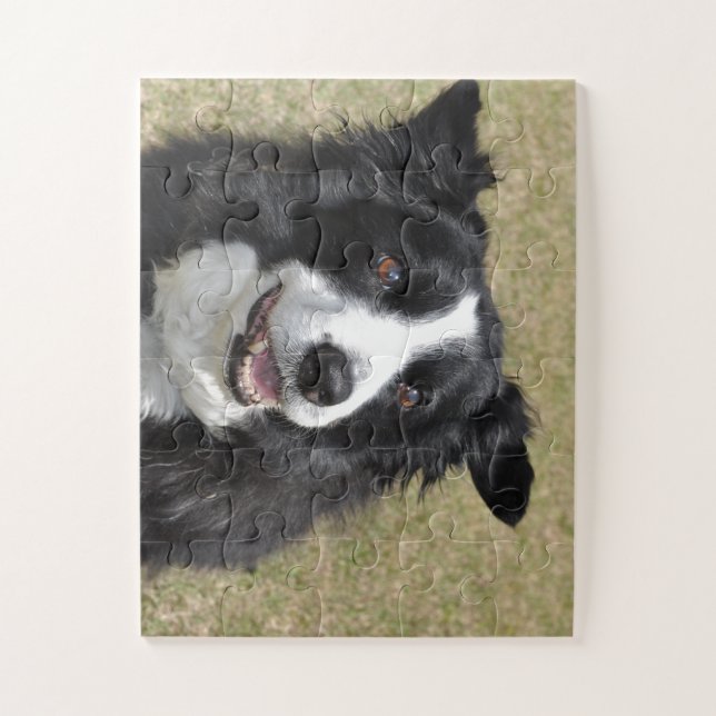 Puzzle Bordure Collie (Vertical)