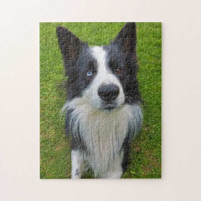 Puzzle Bordure Collie (Vertical)