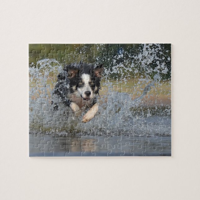 Puzzle Bordure Collie (Horizontal)