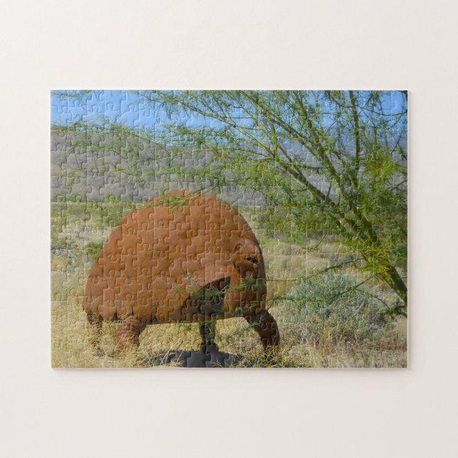 Puzzle Borrego Springs en Californie. (Horizontal)