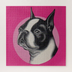 Puzzle Boston terrier