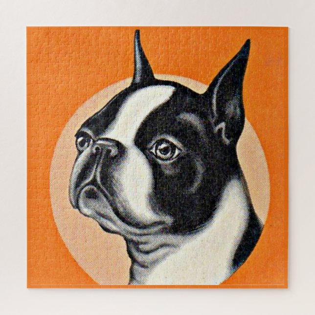Puzzle  Boston terrier (Vertical)