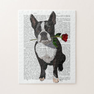 Puzzle Boston Terrier avec Rose dans la bouche