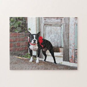 Puzzle Boston Terrier - milles