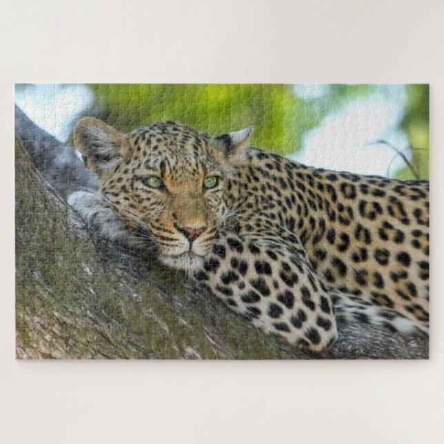 Puzzle Botswana African Leopard (Horizontal)