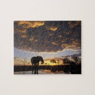 Puzzle Botswana, parc national de Chobe, Éléphant