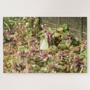 Puzzle Bouche-papillon sur fleurs violettes
